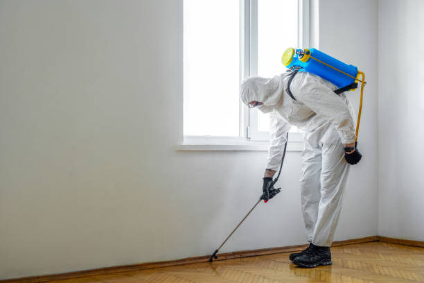 Best Residential Pest Control  in Raymond, MS