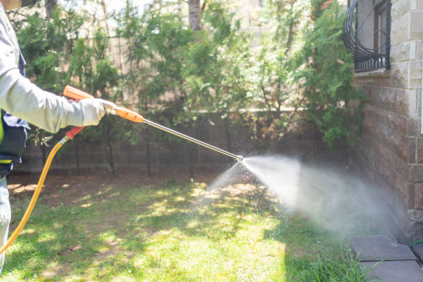 Best Pest Removal Services  in Raymond, MS