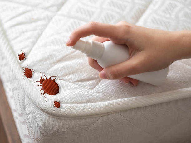 Best Emergency Pest Control  in Raymond, MS